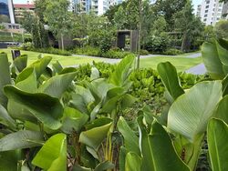 Leedon Green (D10), Condominium #550292461